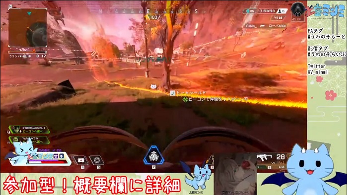 03